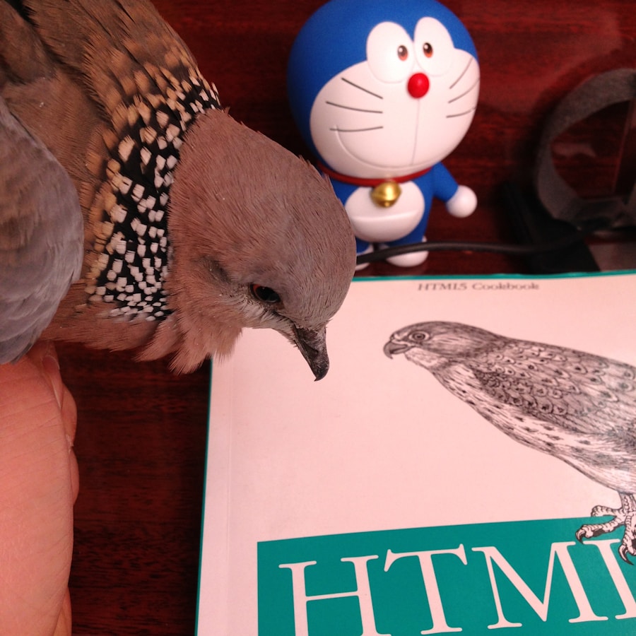 Photo "Freelance web designer near me"